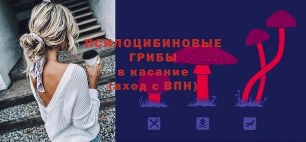 дурь Арсеньев